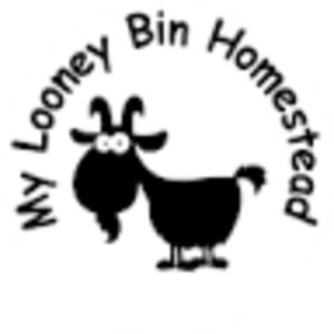 Meet your Posher, My Looney Bin